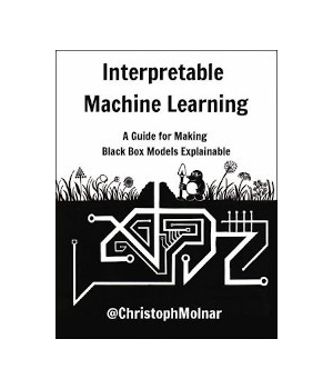 Interpretable Machine Learning