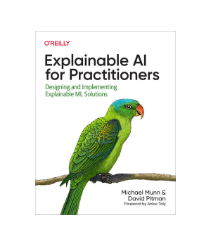 Explainable AI for Practitioners