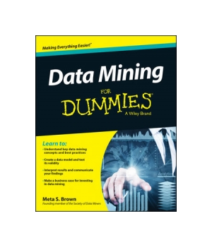 Data Mining For Dummies It Books