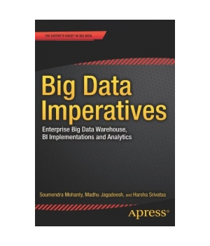 Big Data Imperatives