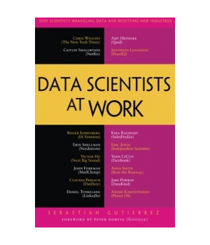 Data Scientists at Work