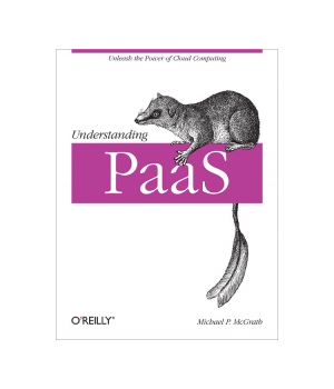 Understanding PaaS