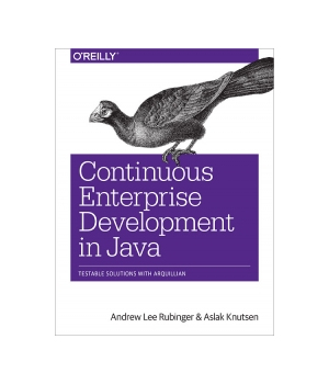 Continuous Enterprise Development in Java
