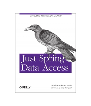 Just Spring Data Access