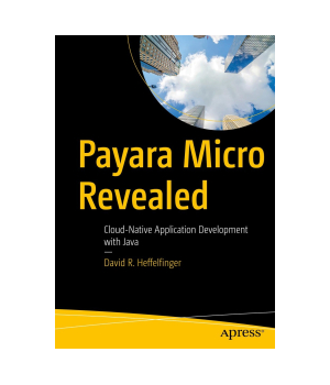 Payara Micro Revealed