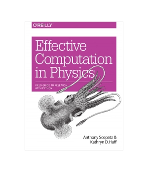 Effective Computation in Physics