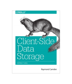 Client-Side Data Storage