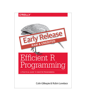 Efficient R Programming