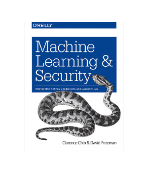 Machine Learning and Security