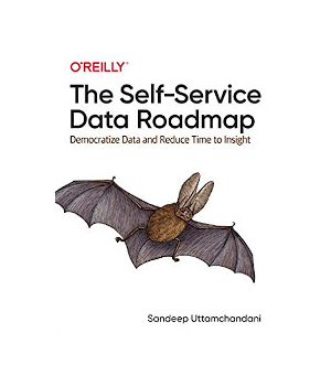 The Self-Service Data Roadmap