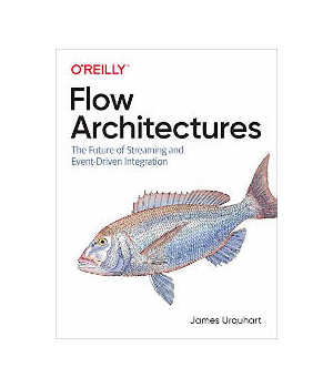 Flow Architectures