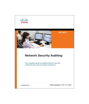 Network Security Auditing