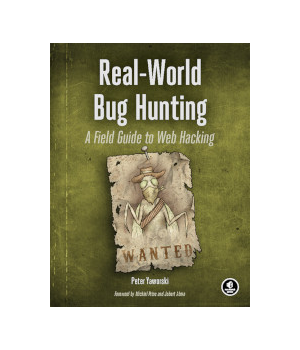 Real-World Bug Hunting