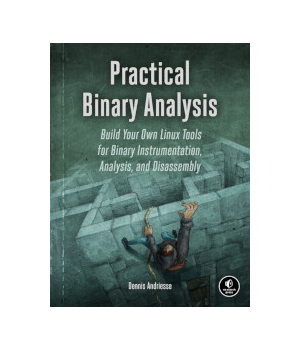 Practical Binary Analysis