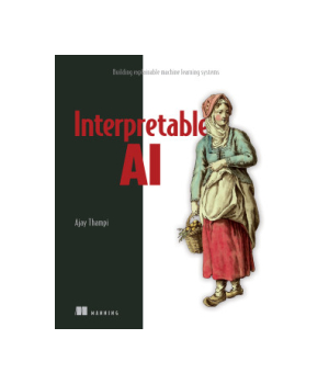 Interpretable AI