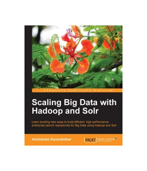 Scaling Big Data with Hadoop and Solr