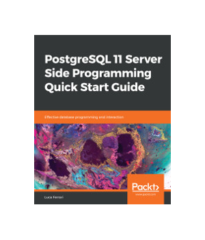 PostgreSQL 11 Server Side Programming Quick Start Guide