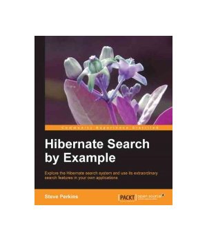 Hibernate Search by Example