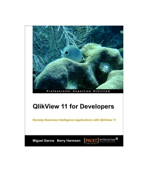 QlikView 11 for Developers