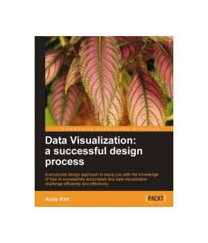 Data Visualization: a successful design process