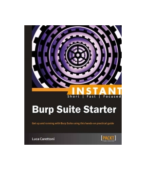 burp suite test website